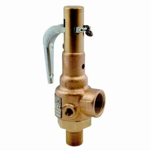 Apollo Valves 19 Series ASME Section I & VII Pressure Safety Relief Valves