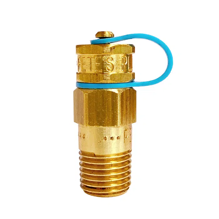 Pete's Plug 100 Brass Pressure or Temperature, PT Test Plug with